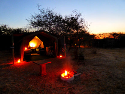 Thorn Tree Bush Camp Campsites Dinokeng Game Reserve Gauteng South Africa Tent, Architecture