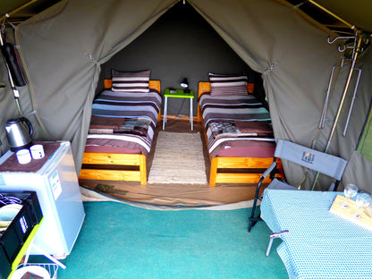 Thorn Tree Bush Camp Campsites Dinokeng Game Reserve Gauteng South Africa Tent, Architecture