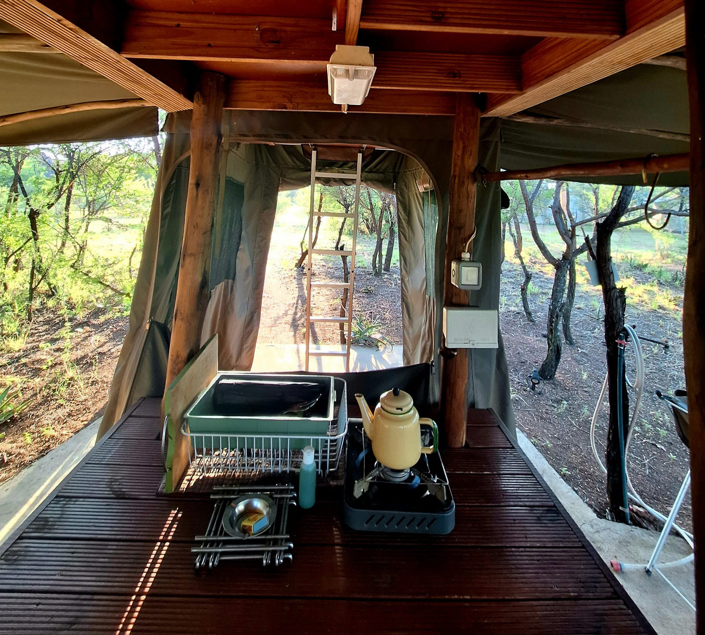 Thorn Tree Bush Camp Campsites Dinokeng Game Reserve Gauteng South Africa 