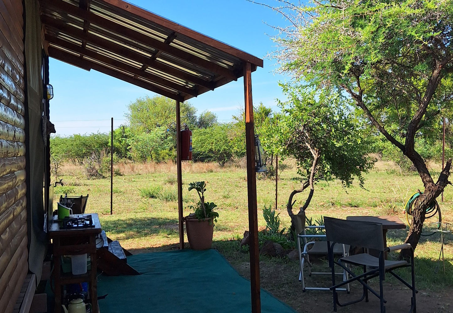 Thorn Tree Bush Camp Campsites Dinokeng Game Reserve Gauteng South Africa 