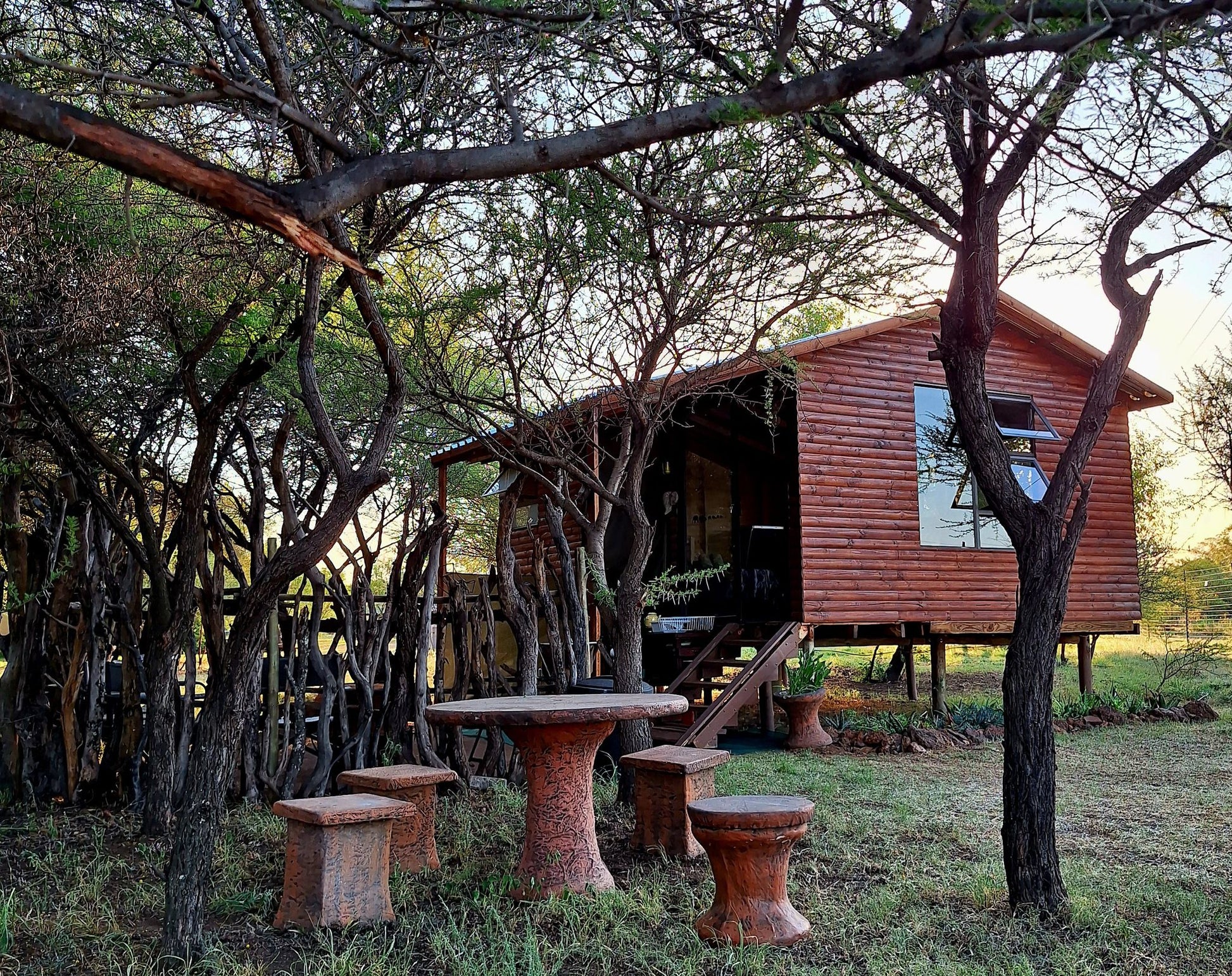 Thorn Tree Bush Camp Campsites Dinokeng Game Reserve Gauteng South Africa 