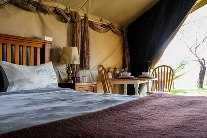 Thorn Tree Bush Camp Campsites Dinokeng Game Reserve Gauteng South Africa Tent, Architecture, Bedroom