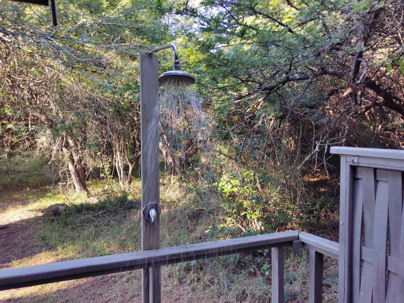 Thornwood Hluhluwe Kwazulu Natal South Africa Bridge, Architecture, Tree, Plant, Nature, Wood