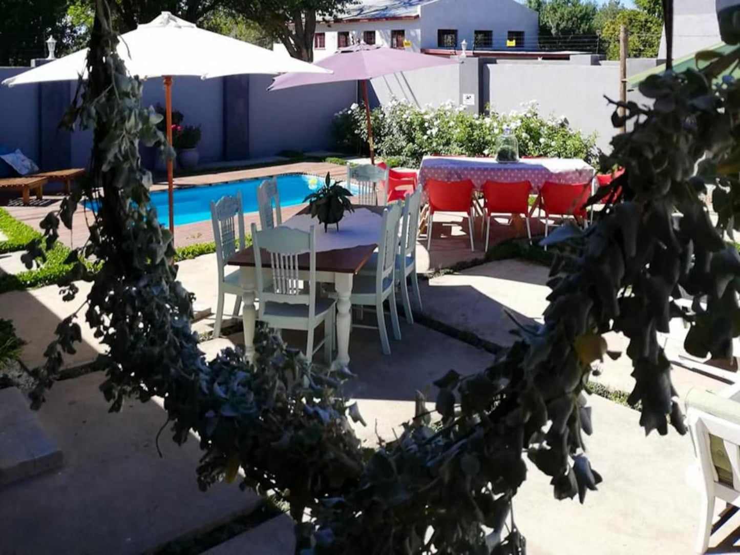 Three Birds Country House Richmond Northern Cape Northern Cape South Africa Palm Tree, Plant, Nature, Wood, Swimming Pool