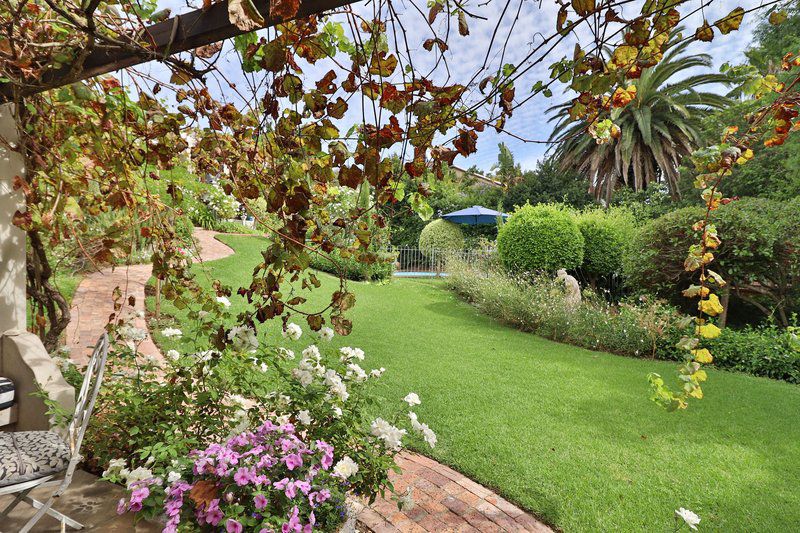 Three Oaks Durbanville Cape Town Western Cape South Africa Plant, Nature, Garden