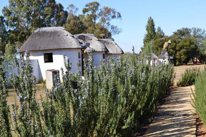 Building, Architecture, House, Plant, Nature, Thukela Resorts, De Deur, De Deur