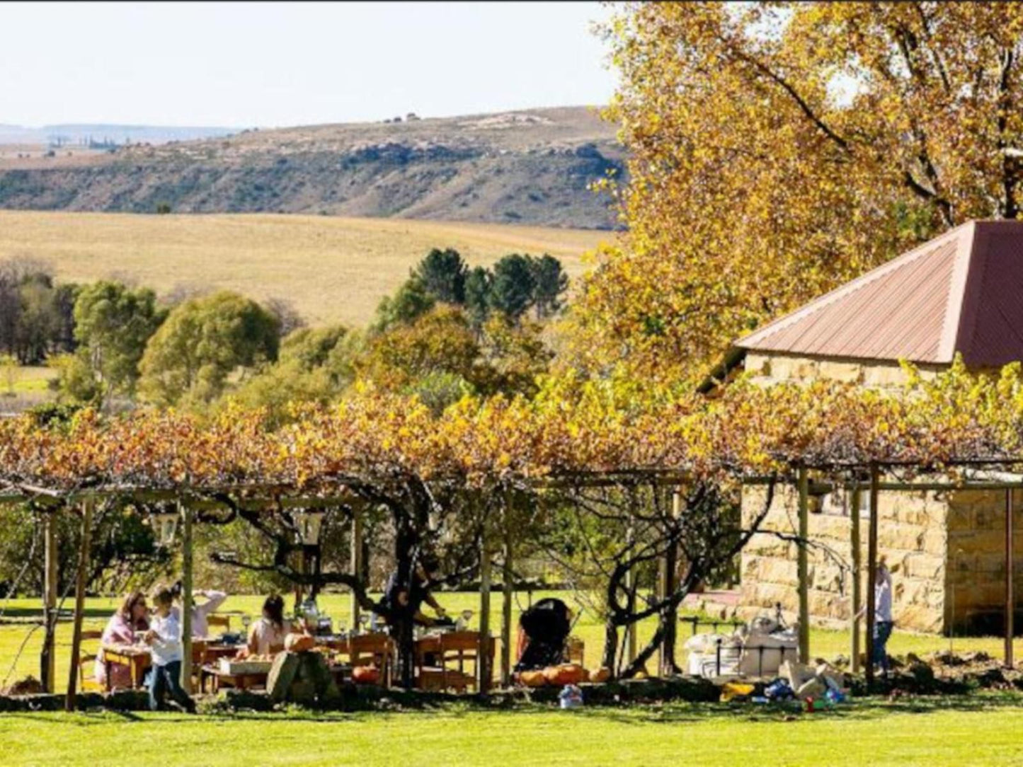 Thula Guest Farm Clarens Free State South Africa Autumn, Nature