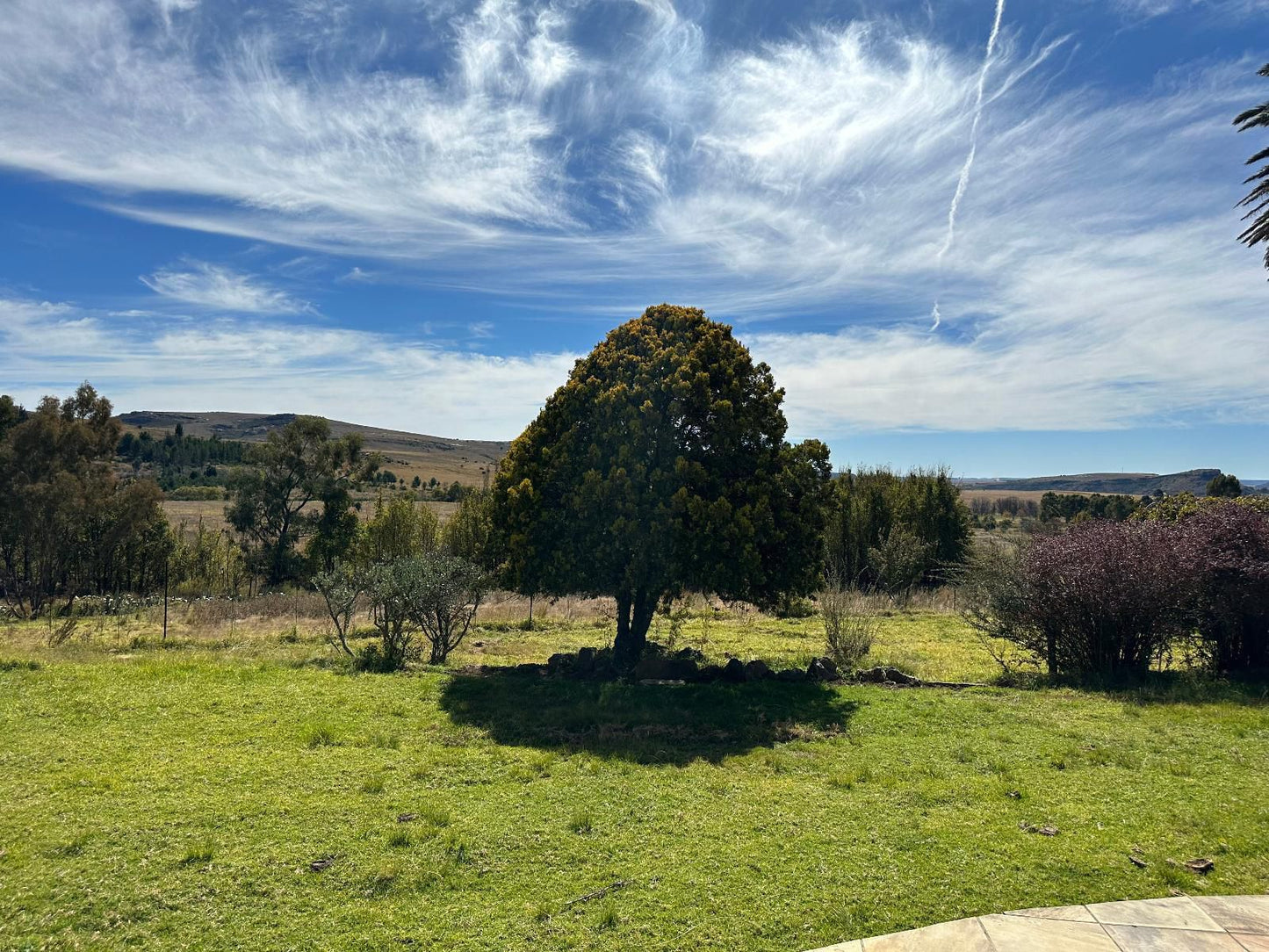 Thula Guest Farm Clarens Free State South Africa Complementary Colors, Tree, Plant, Nature, Wood, Lowland