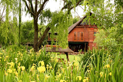 Thula Manzi Guest Lodge Carlswald Johannesburg Gauteng South Africa Colorful, Plant, Nature, Garden