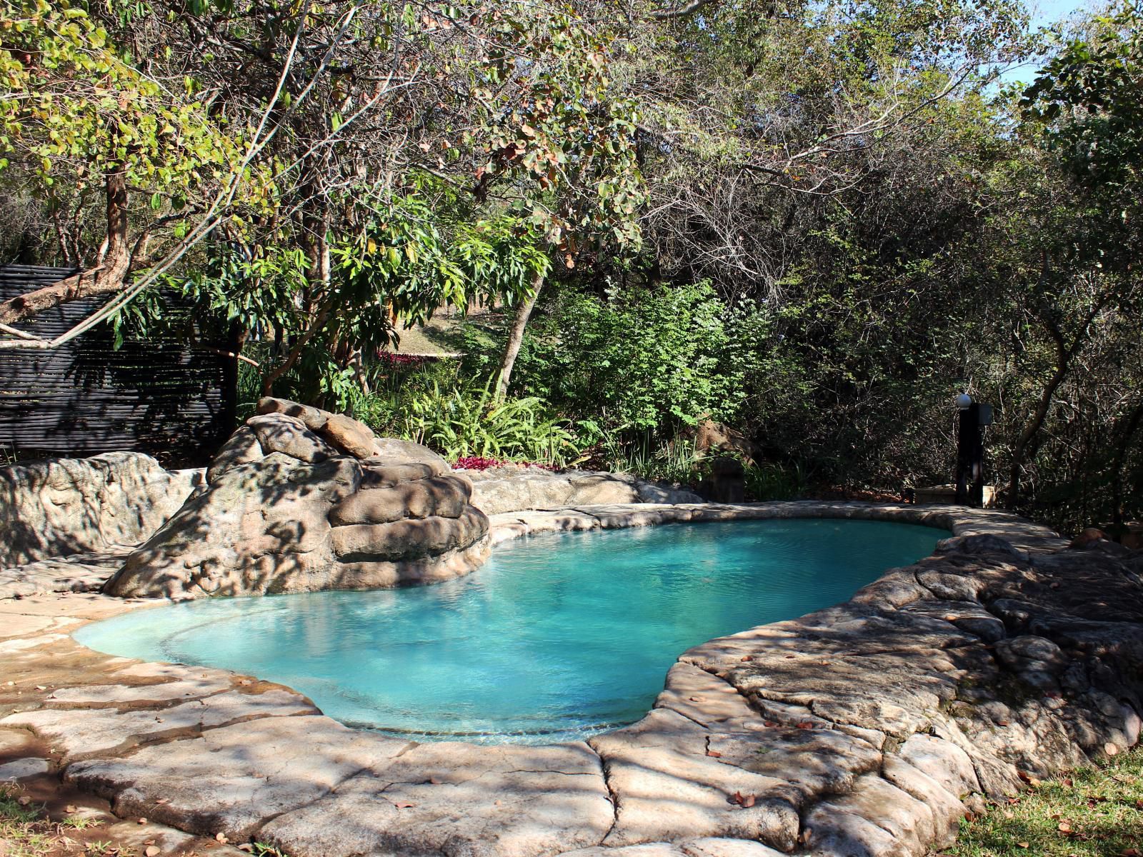 Thulamela Bed And Breakfast Hazyview Mpumalanga South Africa Garden, Nature, Plant, Swimming Pool