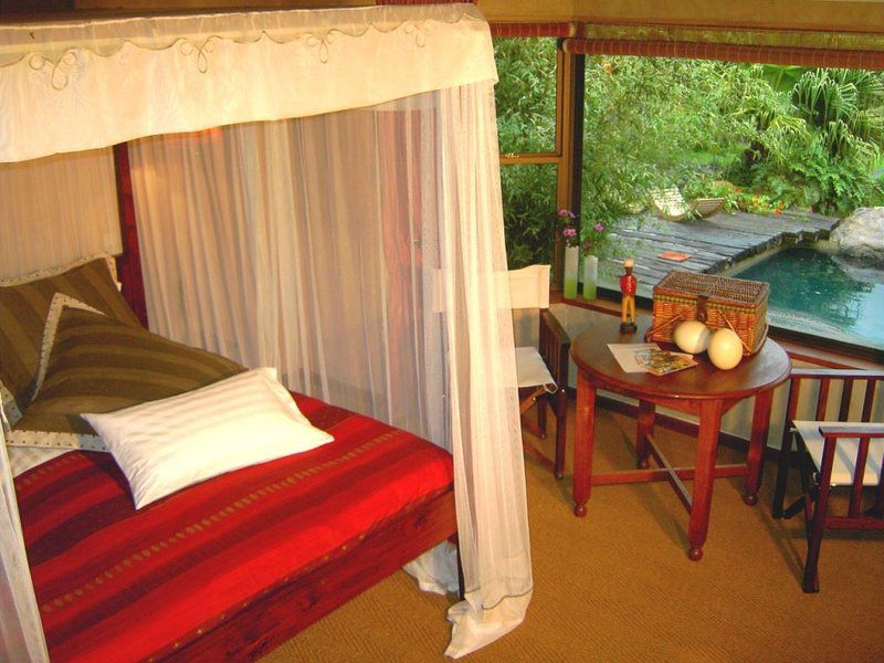 Thulani River Lodge Hout Bay Cape Town Western Cape South Africa Colorful