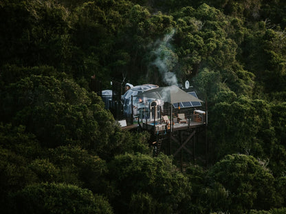 Thunzi Bush Lodge Maitlands Port Elizabeth Eastern Cape South Africa Train, Vehicle, Forest, Nature, Plant, Tree, Wood