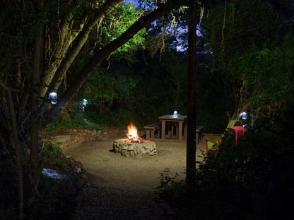 Thunzi Bush Lodge Maitlands Port Elizabeth Eastern Cape South Africa Dark, Fire, Nature
