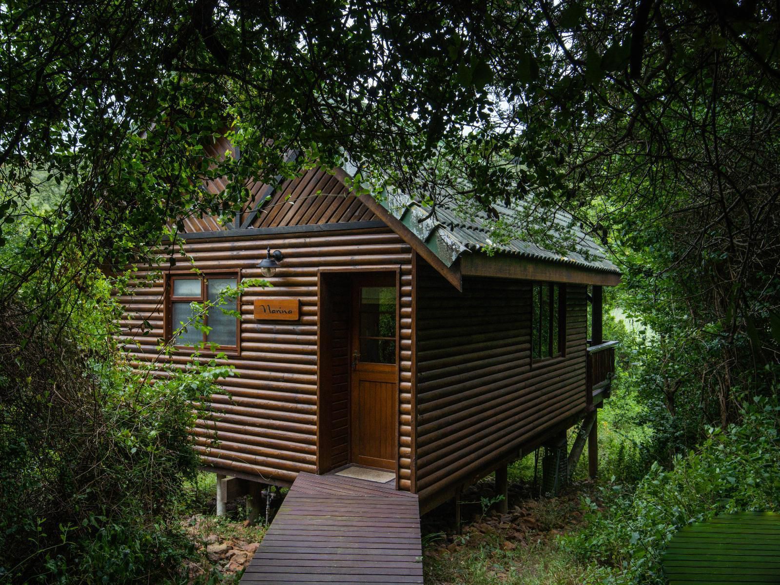 Thunzi Bush Lodge Maitlands Port Elizabeth Eastern Cape South Africa Cabin, Building, Architecture, Tree, Plant, Nature, Wood