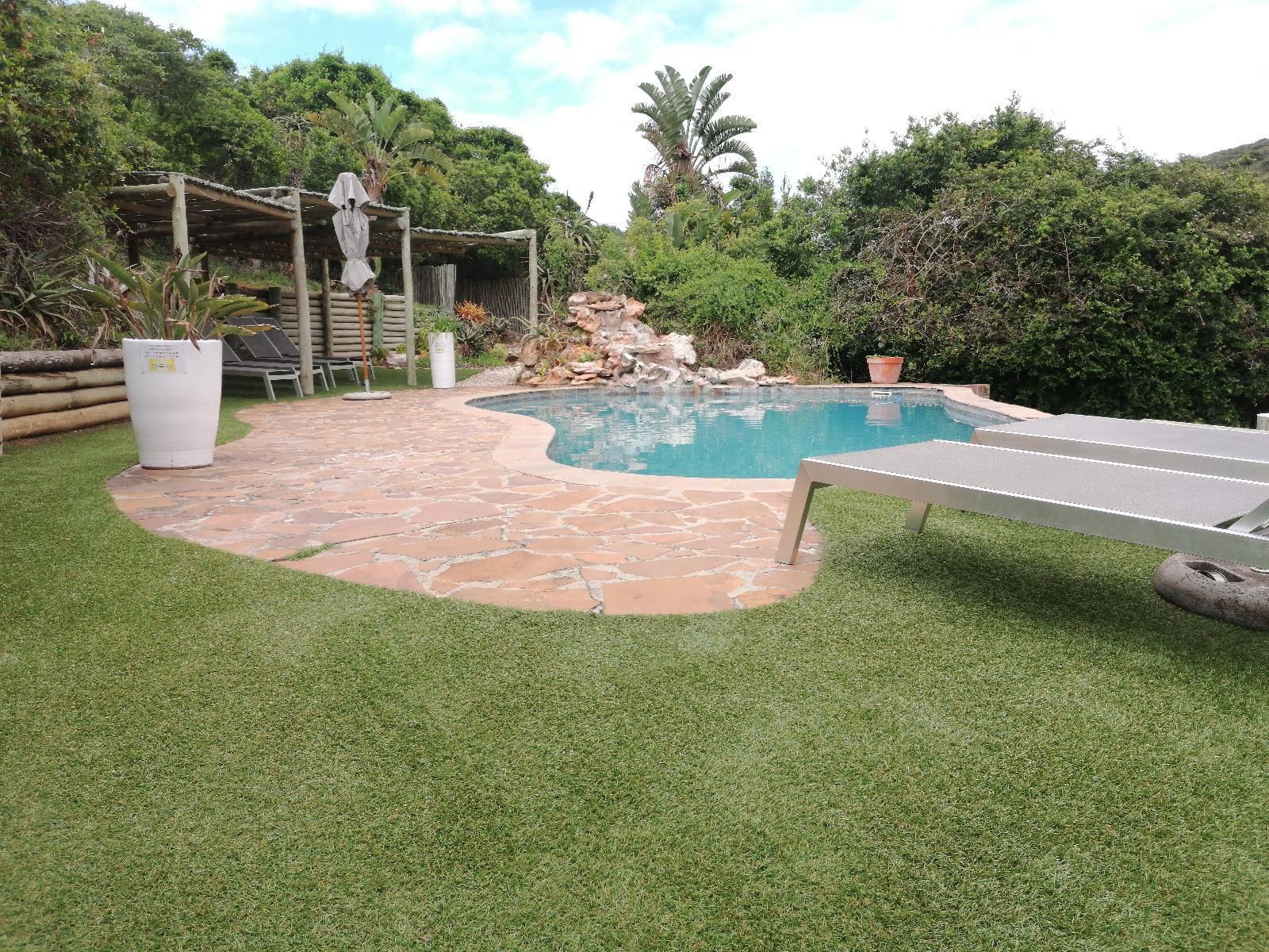 Thunzi Bush Lodge Maitlands Port Elizabeth Eastern Cape South Africa Palm Tree, Plant, Nature, Wood, Garden, Swimming Pool