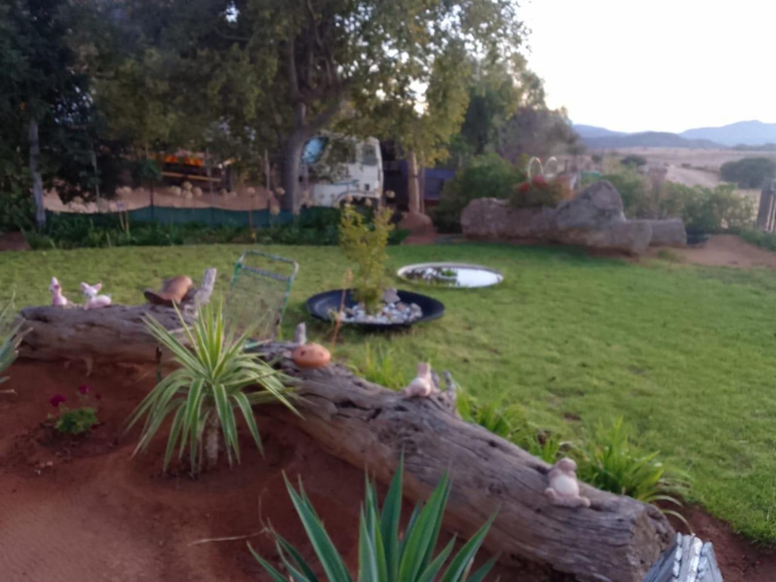 Thys E Kombuis And Guest House Kamieskroon Northern Cape South Africa Plant, Nature, Garden