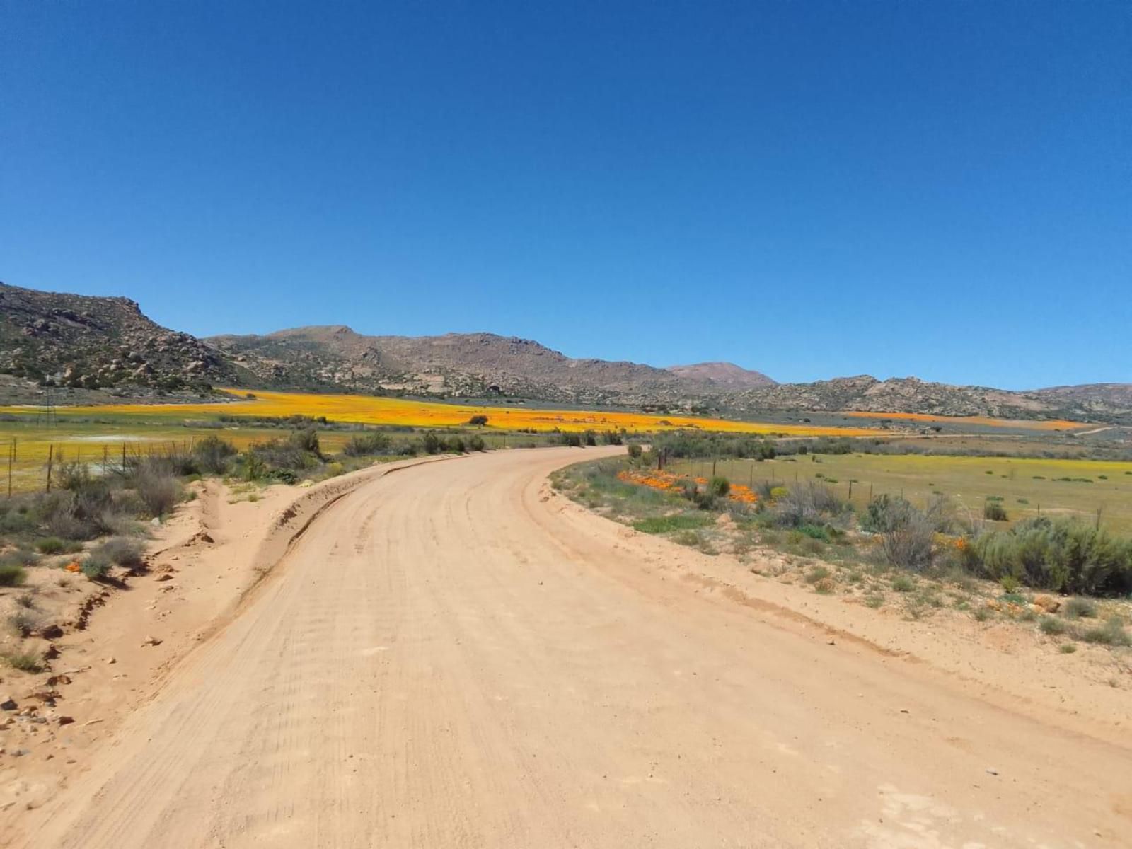 Thys E Kombuis And Guest House Kamieskroon Northern Cape South Africa Complementary Colors, Desert, Nature, Sand, Street