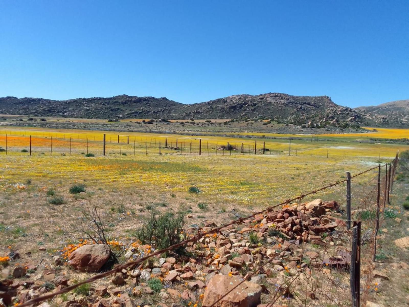 Thys E Kombuis And Guest House Kamieskroon Northern Cape South Africa Complementary Colors, Nature