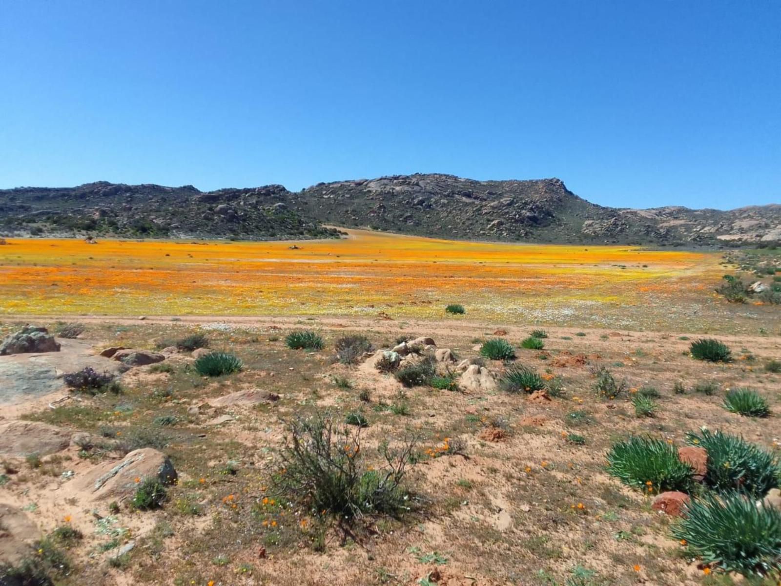 Thys E Kombuis And Guest House Kamieskroon Northern Cape South Africa Complementary Colors, Desert, Nature, Sand