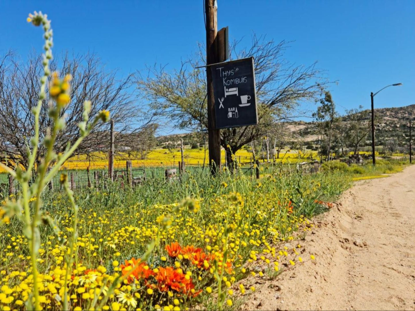 Thys E Kombuis And Guest House Kamieskroon Northern Cape South Africa Complementary Colors, Field, Nature, Agriculture, Plant