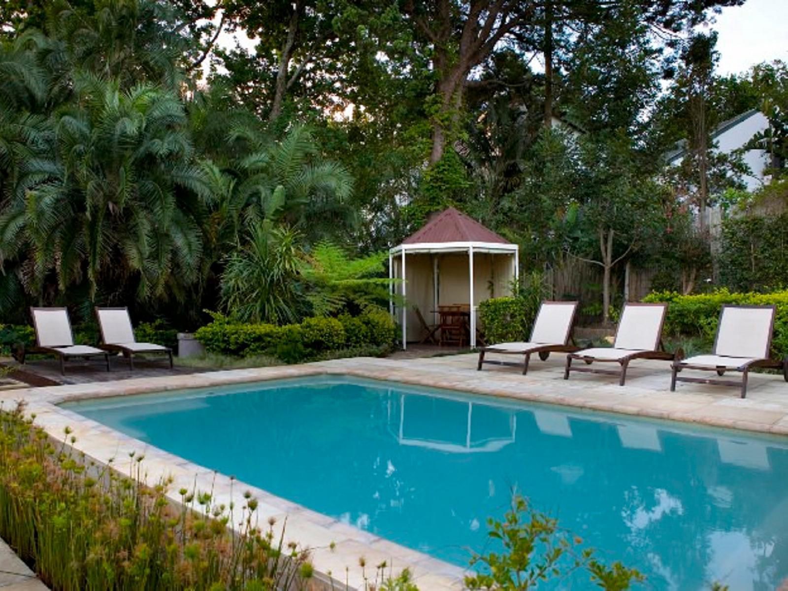 Tides End Manor House Knysna Western Cape South Africa Complementary Colors, Palm Tree, Plant, Nature, Wood, Garden, Swimming Pool