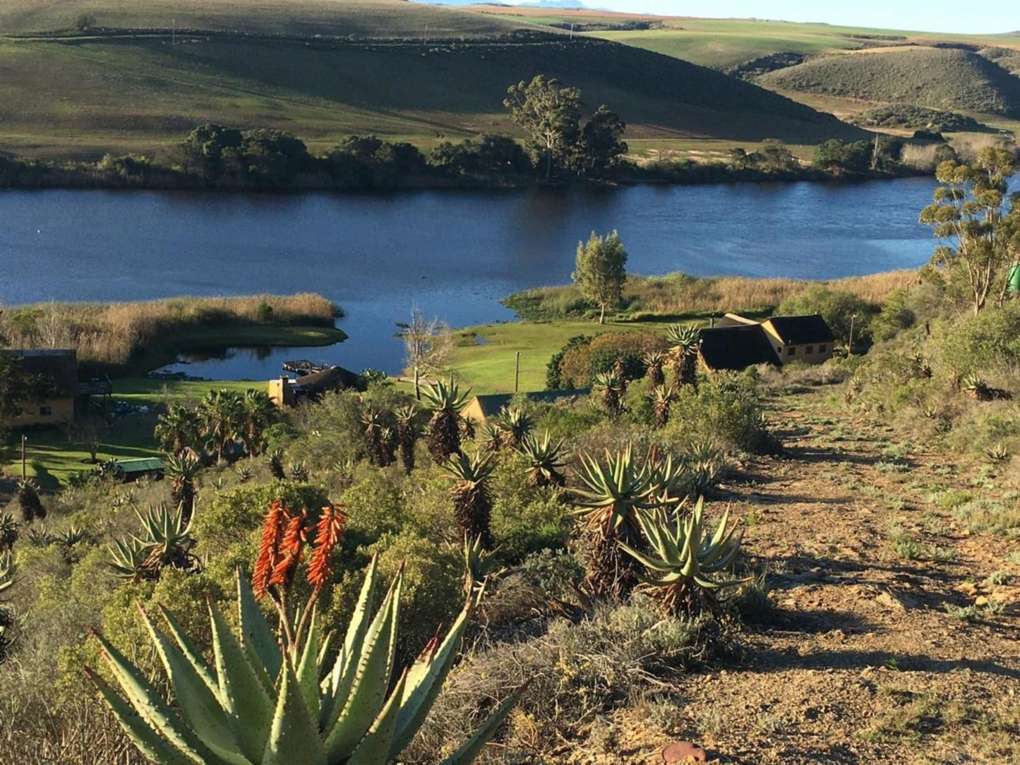 Tides River Lodge Malgas Western Cape South Africa Cactus, Plant, Nature