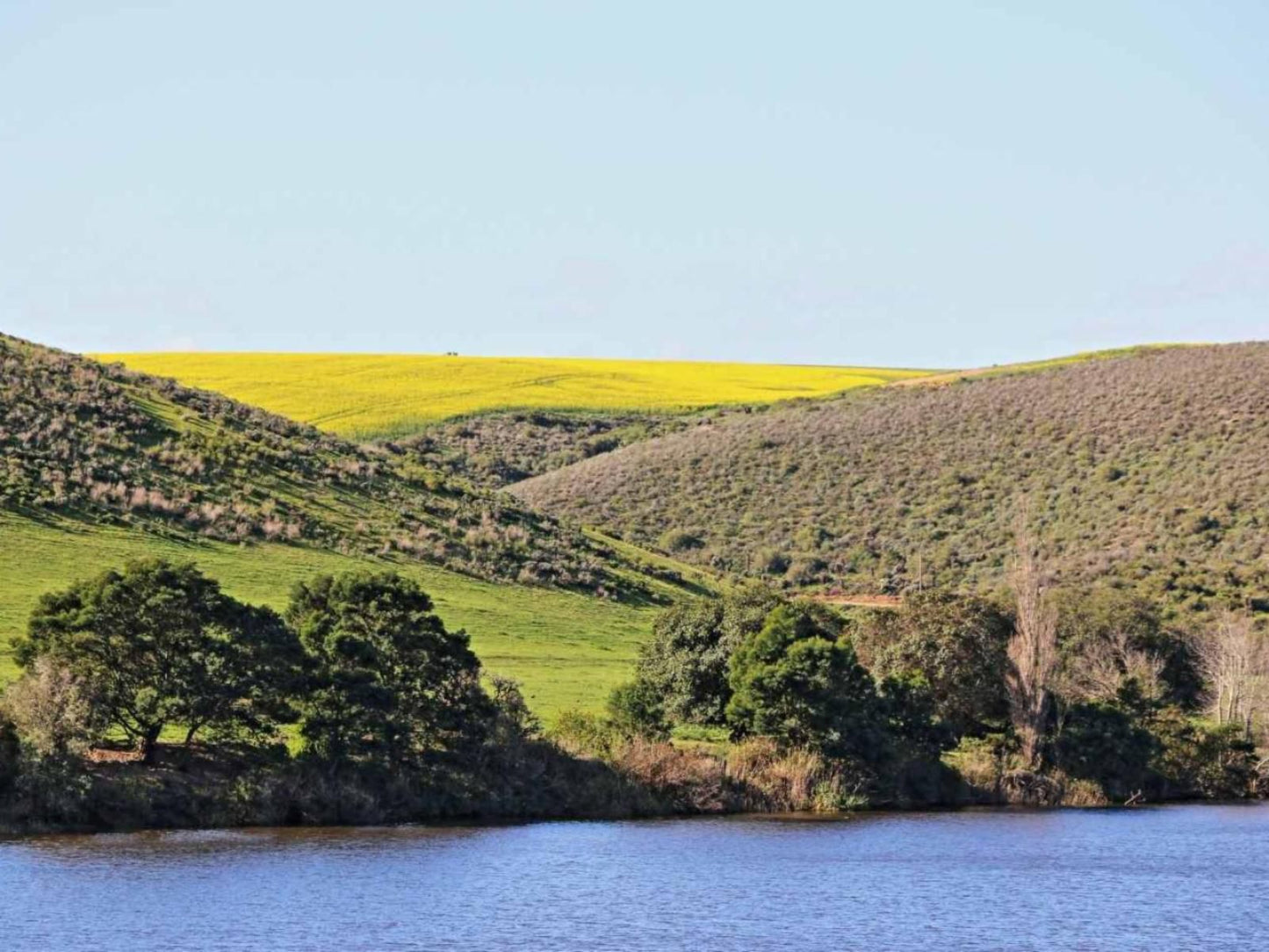 Tides River Lodge Malgas Western Cape South Africa Complementary Colors, Highland, Nature