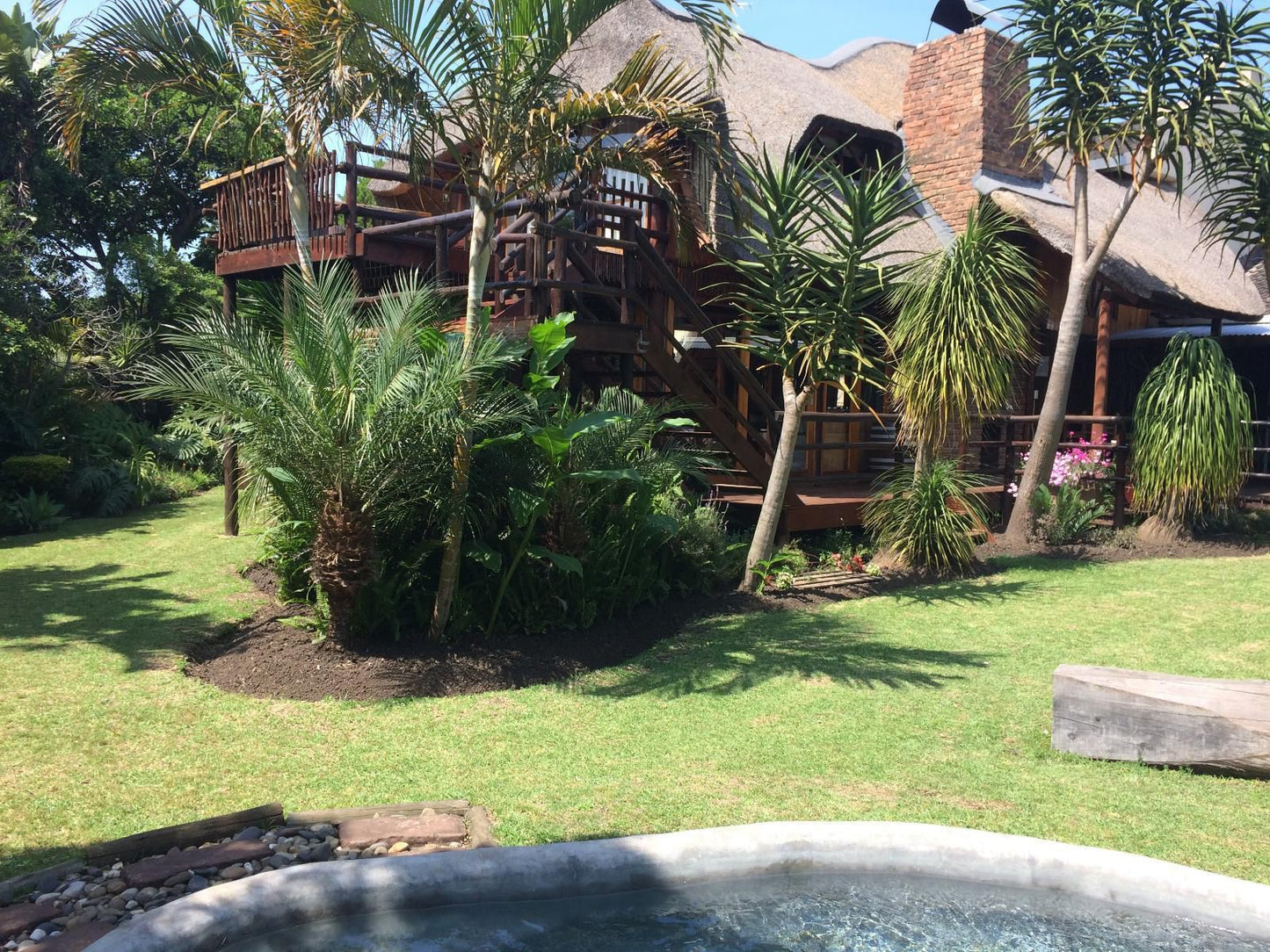 Tidewaters River Lodge Gonubie East London Eastern Cape South Africa Palm Tree, Plant, Nature, Wood, Garden, Swimming Pool