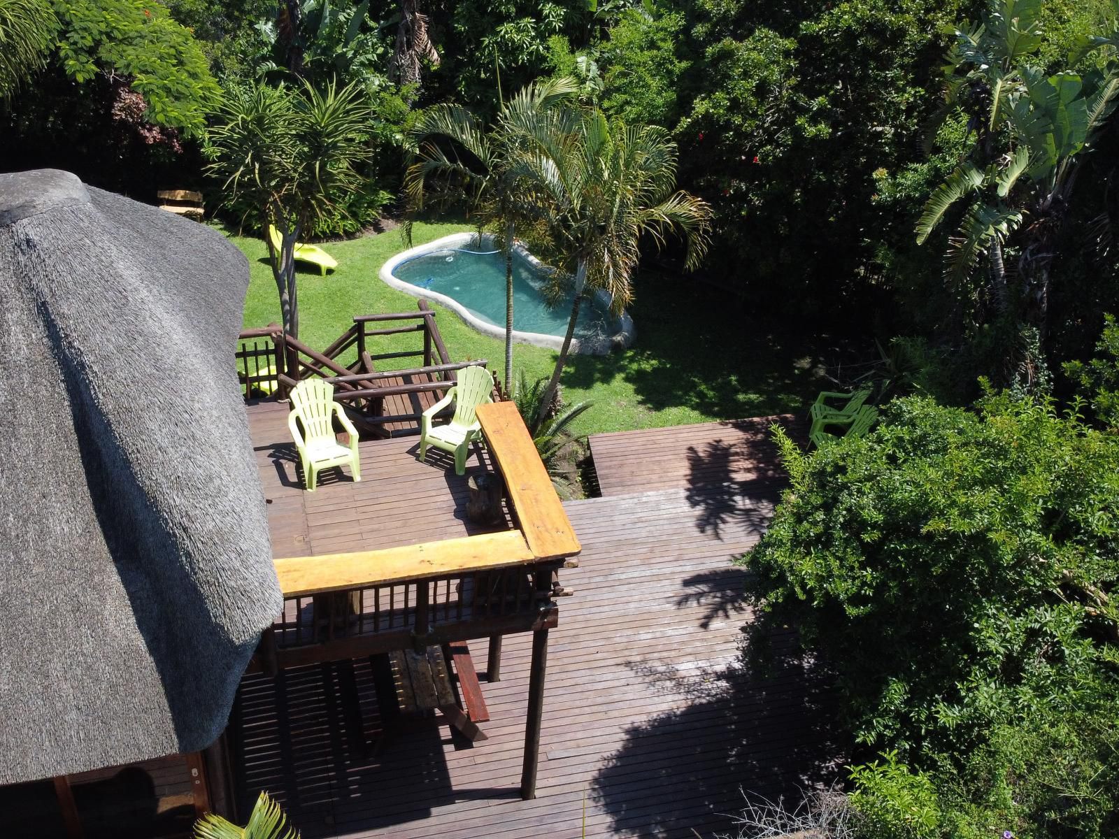 Tidewaters River Lodge Gonubie East London Eastern Cape South Africa Palm Tree, Plant, Nature, Wood, Swimming Pool