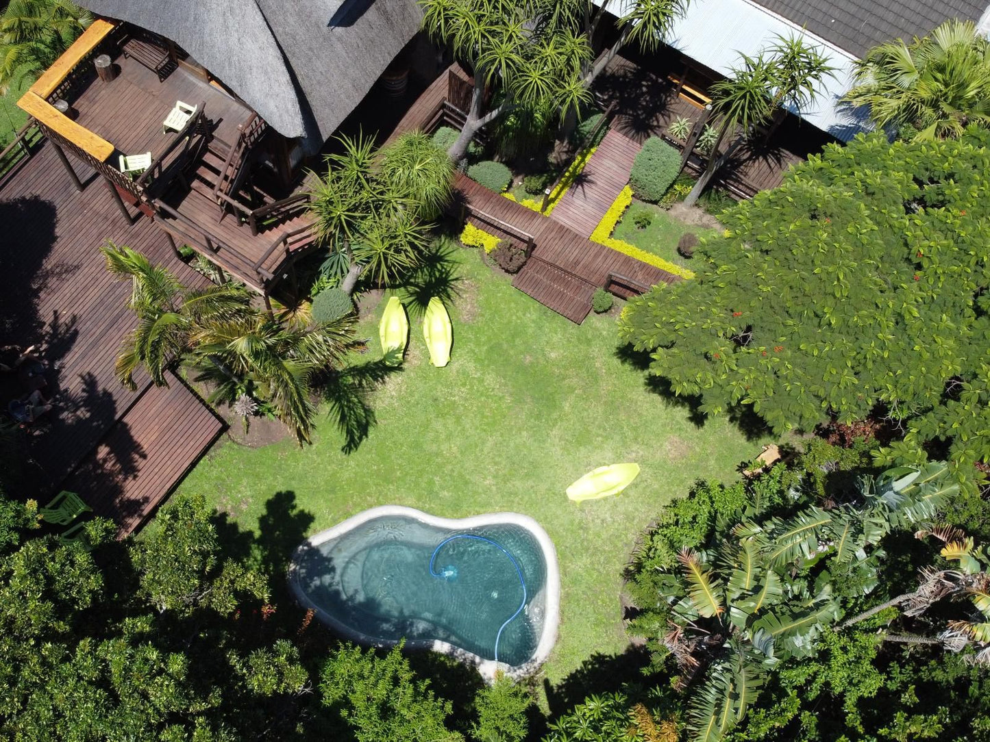 Tidewaters River Lodge Gonubie East London Eastern Cape South Africa Palm Tree, Plant, Nature, Wood, Swimming Pool