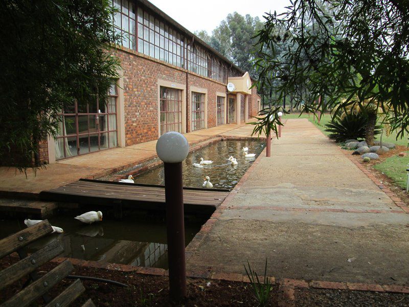 Tieger Lodge And Conference Centre Tierpoort Pretoria Tshwane Gauteng South Africa House, Building, Architecture, River, Nature, Waters, Swimming Pool