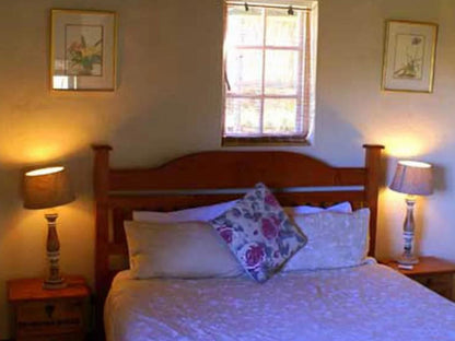 Tierhoek Cottages Robertson Western Cape South Africa Complementary Colors, Bedroom
