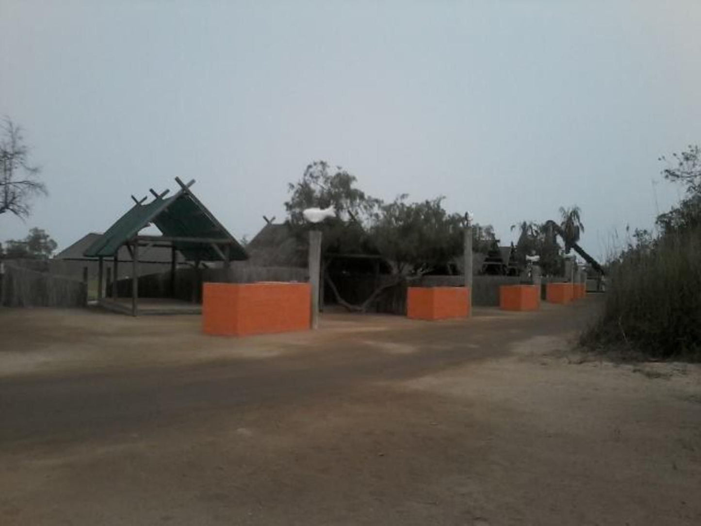 Tiger Reef Campsite, Palm Tree, Plant, Nature, Wood