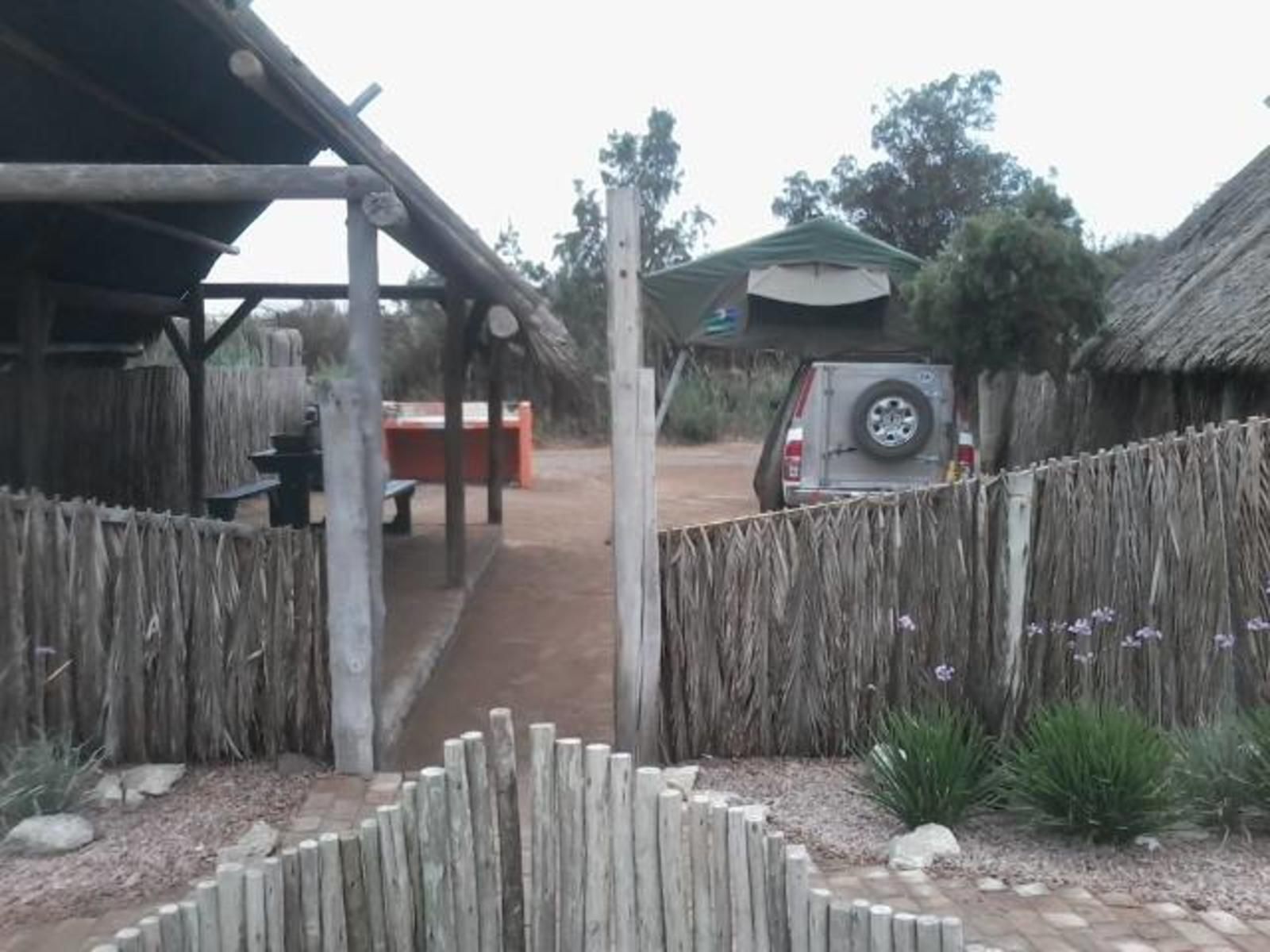 Tiger Reef Campsite, Campsite, Unsaturated