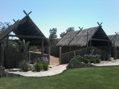 Tiger Reef Campsite, Campsite