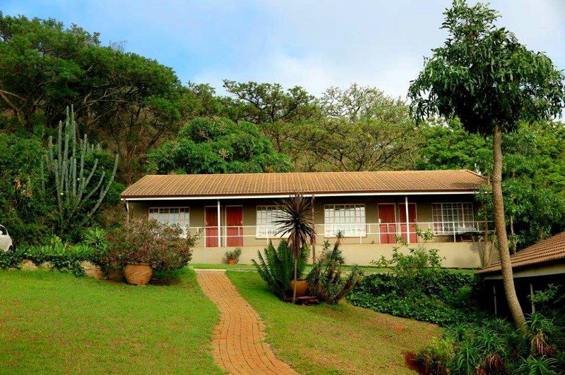 Tigerskloof Bed And Breakfast Newcastle Kwazulu Natal South Africa House, Building, Architecture, Palm Tree, Plant, Nature, Wood