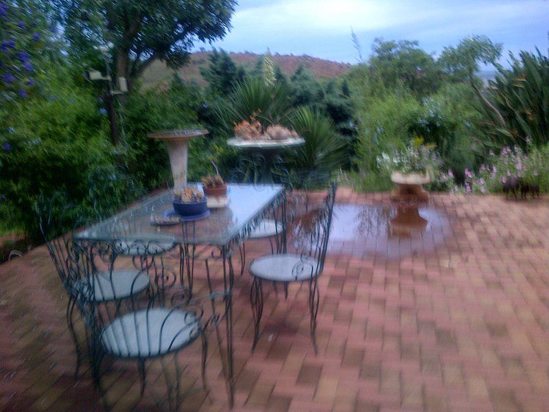Tigerskloof Bed And Breakfast Newcastle Kwazulu Natal South Africa Garden, Nature, Plant, Swimming Pool