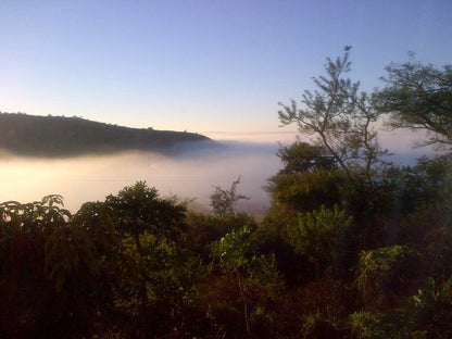 Tigerskloof Bed And Breakfast Newcastle Kwazulu Natal South Africa Fog, Nature, Forest, Plant, Tree, Wood, Sunset, Sky