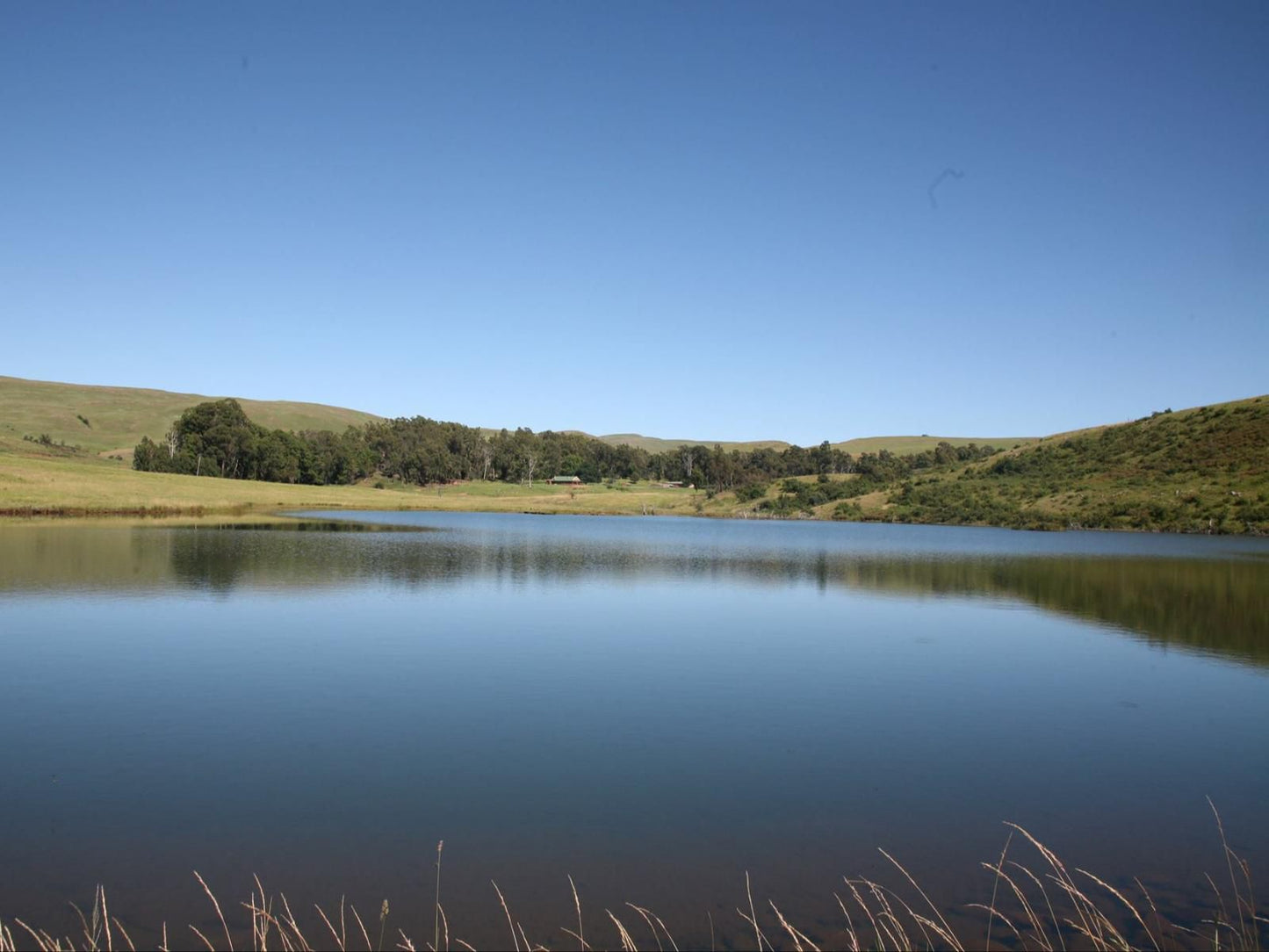 Tillietudlem Nature Reserve, Highland, Nature