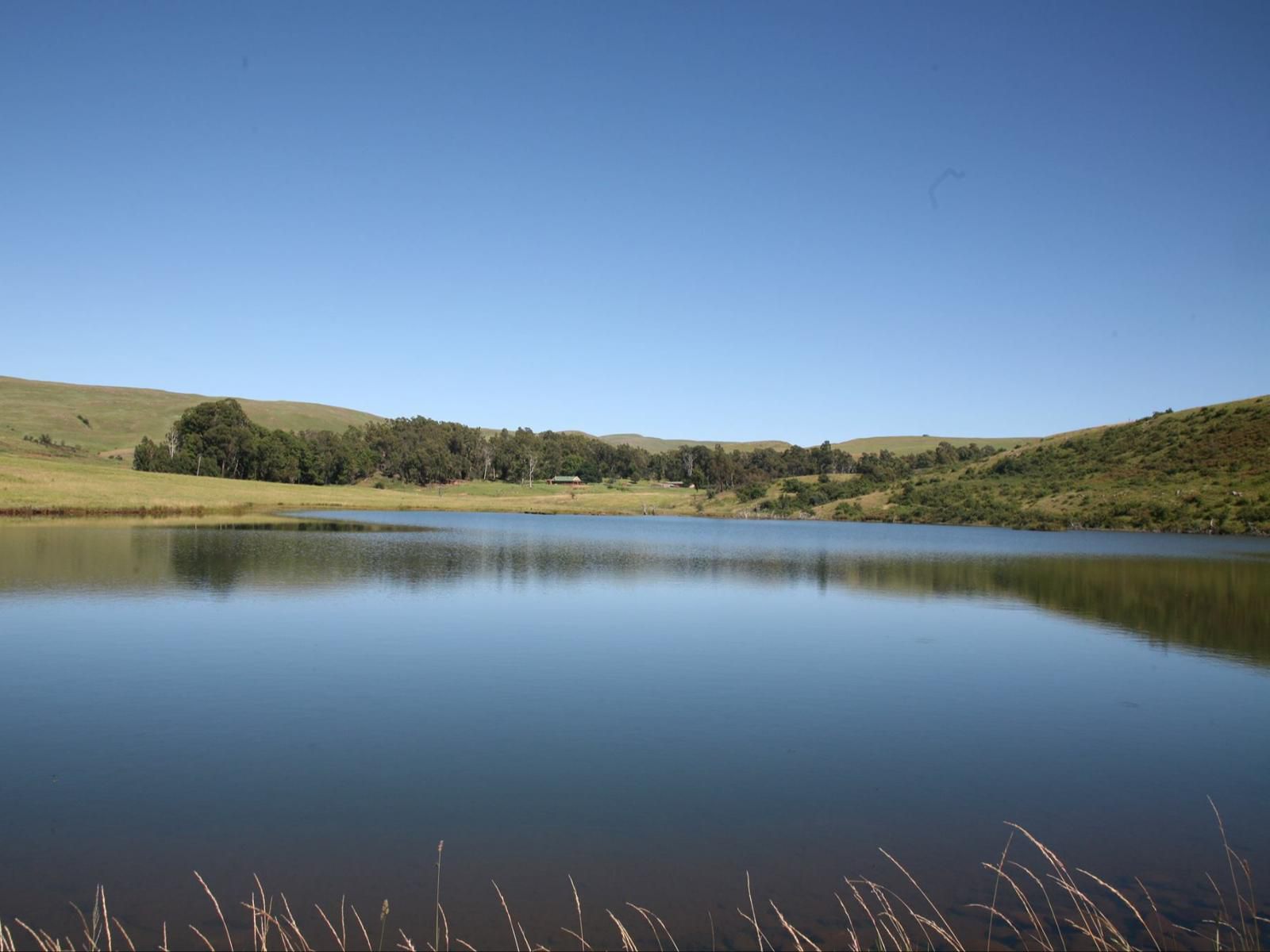 Tillietudlem Nature Reserve, Highland, Nature