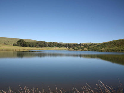 Tillietudlem Nature Reserve, Highland, Nature