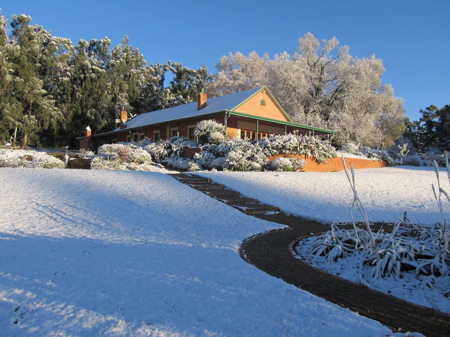 Tillietudlem Game And Trout Lodge Dargle Howick Kwazulu Natal South Africa Snow, Nature, Winter