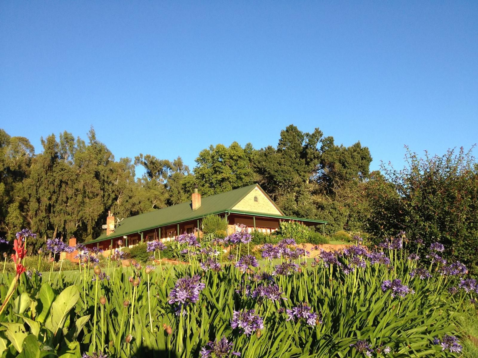 Tillietudlem Game And Trout Lodge Dargle Howick Kwazulu Natal South Africa Complementary Colors, Colorful, Lavender, Nature, Plant, Garden