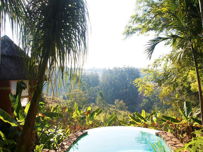 Timamoon Lodge Hazyview Mpumalanga South Africa Palm Tree, Plant, Nature, Wood, Garden, Swimming Pool