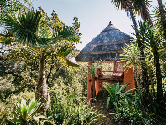 Timamoon Lodge Hazyview Mpumalanga South Africa Palm Tree, Plant, Nature, Wood