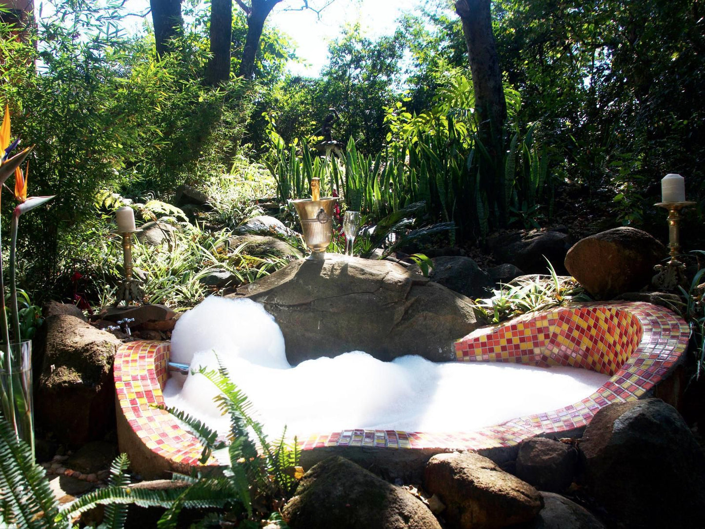 Timamoon Lodge Hazyview Mpumalanga South Africa Garden, Nature, Plant