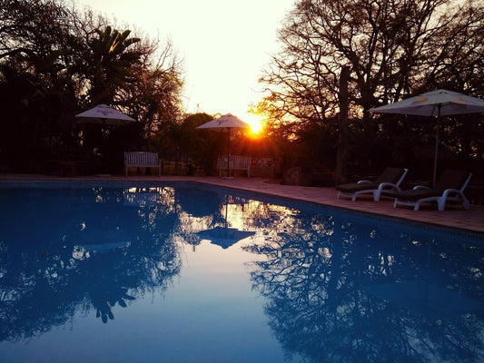 Timbavati Safari Lodge Hoedspruit Limpopo Province South Africa Sky, Nature, Sunset, Swimming Pool