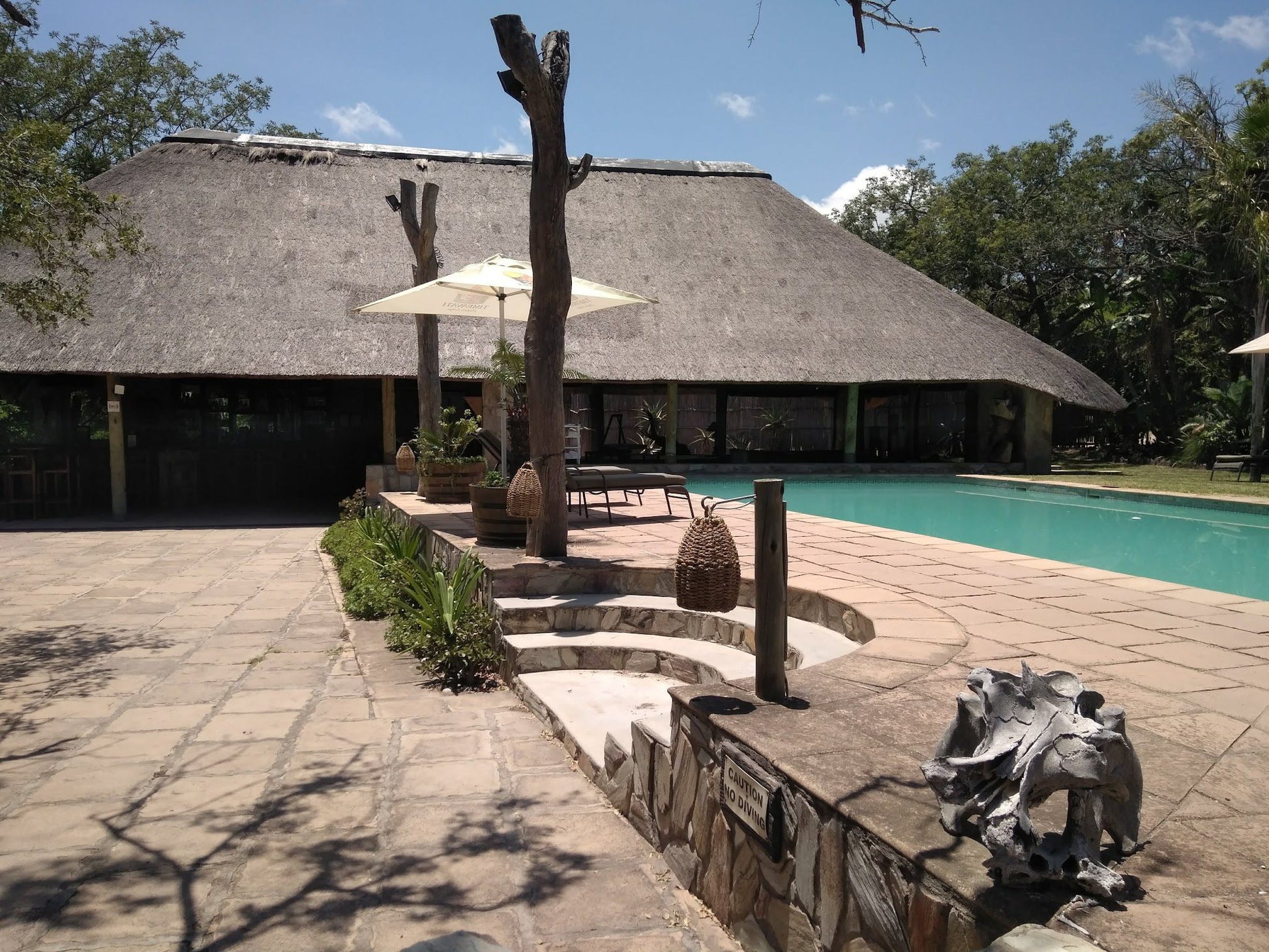 Timbavati Safari Lodge Hoedspruit Limpopo Province South Africa Swimming Pool