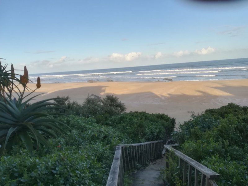 Timber And Tide Cannon Rocks Eastern Cape South Africa Beach, Nature, Sand, Palm Tree, Plant, Wood, Ocean, Waters