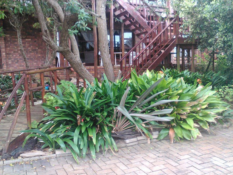 Timber And Tide Cannon Rocks Eastern Cape South Africa Plant, Nature, Garden